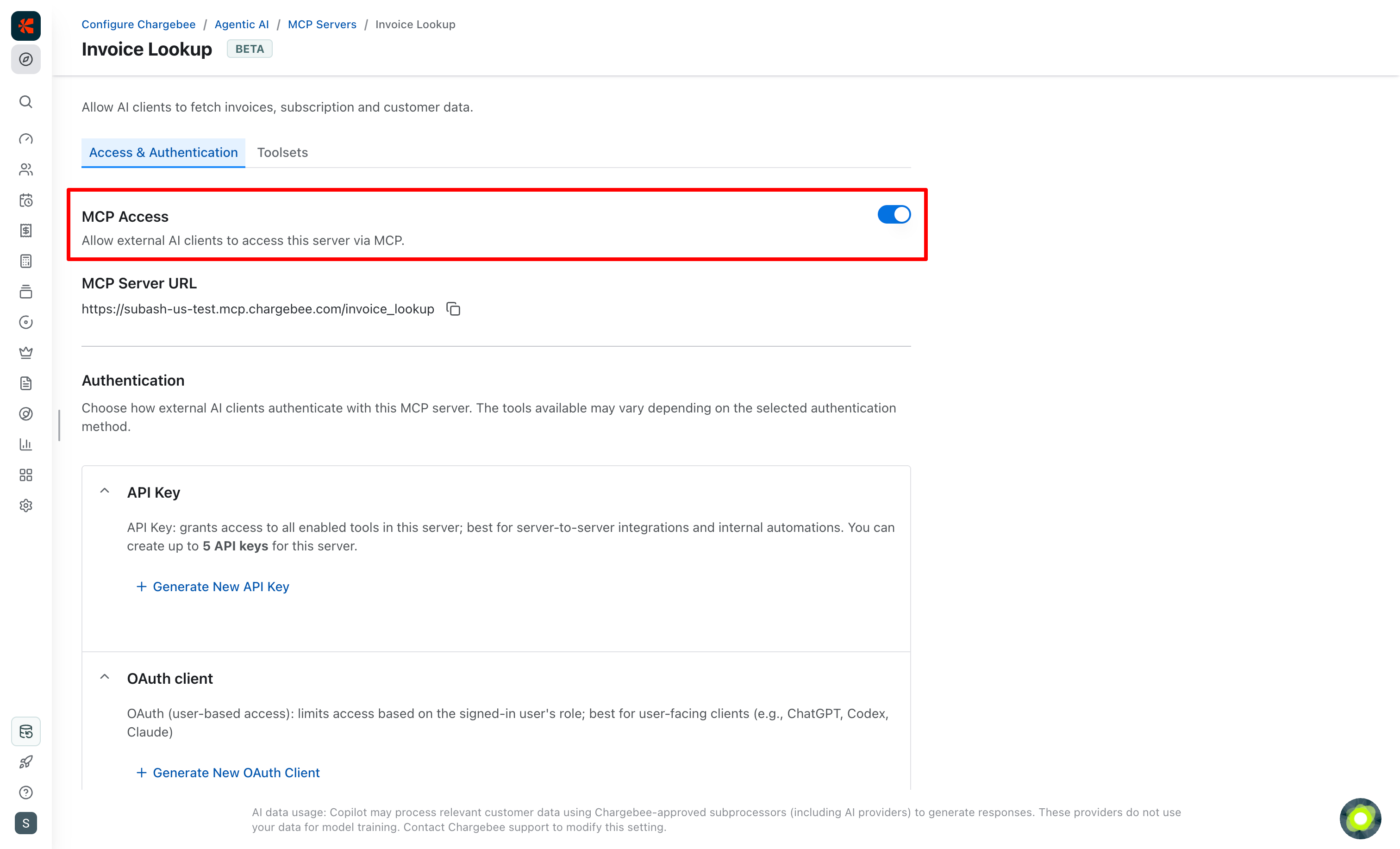 Custom MCP server access and authentication