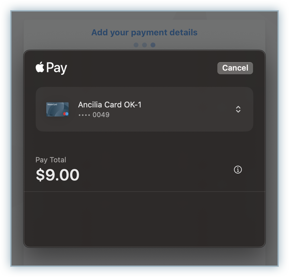 Apple Pay payment sheet